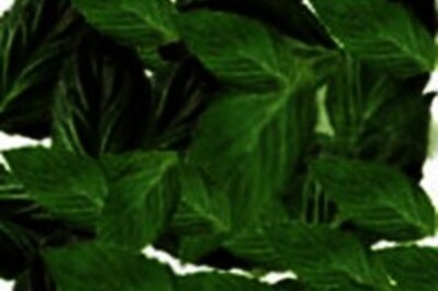 The old kingdom's viagra: Molokia