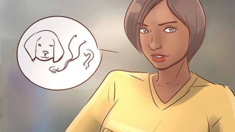 How to Evaluate Your Veterinarian