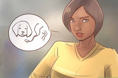 How to Evaluate Your Veterinarian