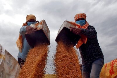 Wheat Crisis: Procurement For States Extended; Know Details On India's Export Ban