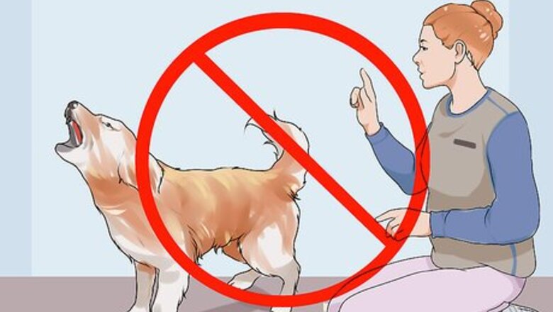 How to Stop a New Dog from Barking at Your Neighbors