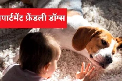 5 Pet Dogs That Are Best To Live In Apartments