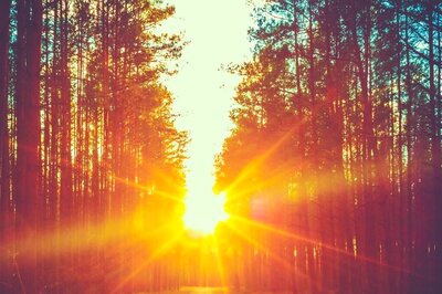 Aaj Ka Panchang, February 23, 2024: Tithi, Vrat, and Today’s Shubh, Ashubh Muhurat