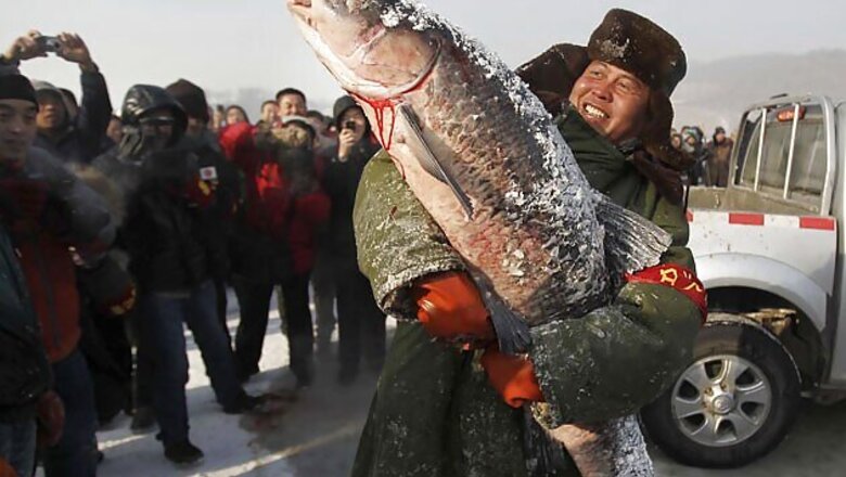 Snapshot: The biggest fish caught this season