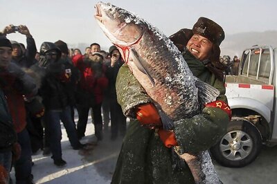 Snapshot: The biggest fish caught this season