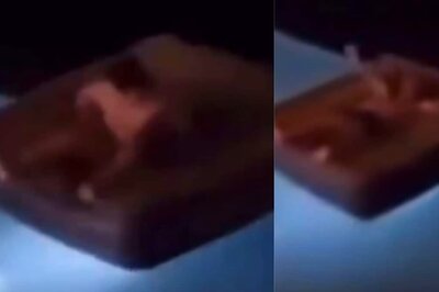 Caught On Cam: Chinese Man's Midnight Swim Takes A Horrifying Turn