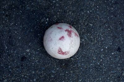 MRT vs VIC Dream11 Team Prediction Portuguese Primeira Liga, Maritimo FC vs Gil Vicente FC Playing XI, Football Fantasy Tips