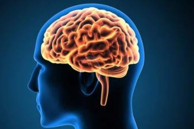 Wrinkles In Our Brain Dictate Its Function, Reveals New Study