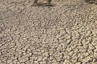 Jharkhand stares at drought following weak monsoon