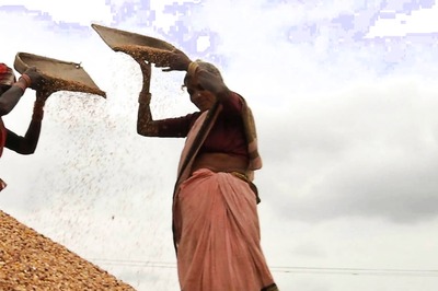 Rapid Pace of Free Ration Distribution in UP, Over 11 Crore Given Foodgrains in 4 Days
