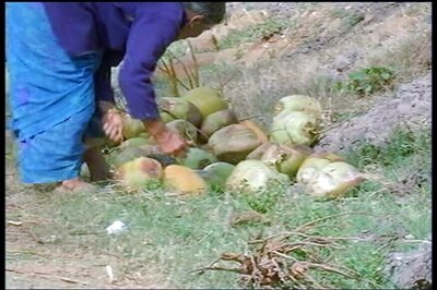 Unsubstantiated, Says India as it Demands Retraction After Harvard Prof Calls Coconut Oil 'Pure Poison'