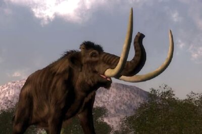 Woolly Mammoths May Walk The Earth Again By 2028: CEO Of Colossal Biosciences