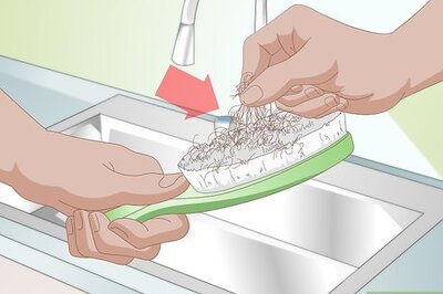 How to Clean a Pet Brush or Comb