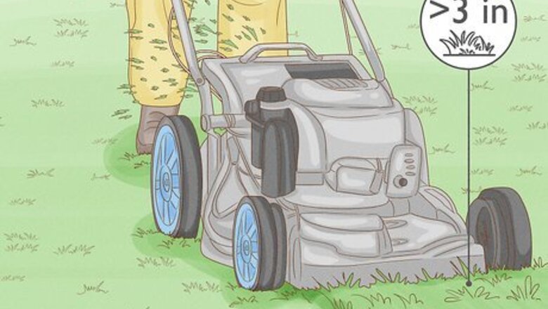 How to Kill Grass