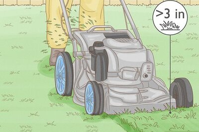 How to Kill Grass