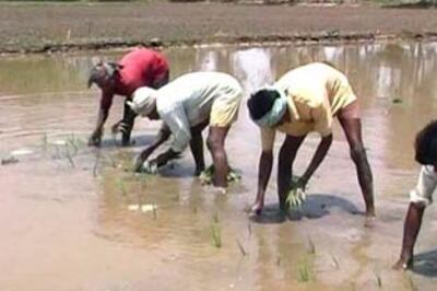 Help common man in drought: Supreme Court