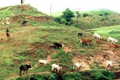 Hyd meet to zoom in on rural insurance