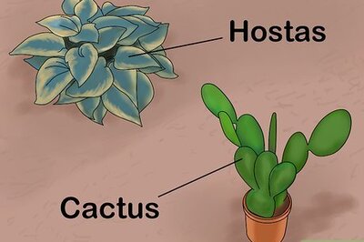 How to Plant a Low Water Garden