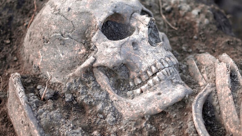 Remains of 100 Children Among 240 Skeletons Found Beneath Wales Department Store in UK