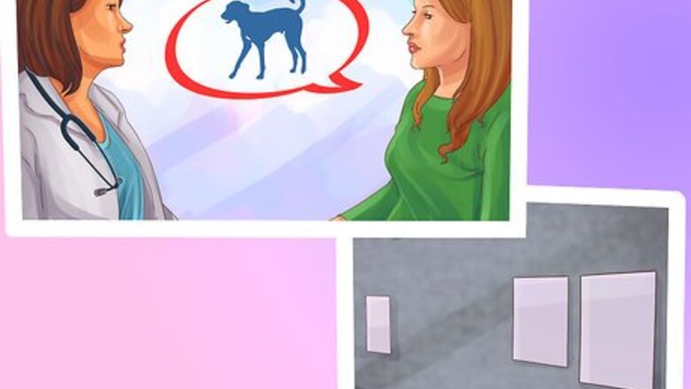 How to Advertise a Lost Dog