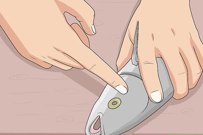 How to Bleed a Fish