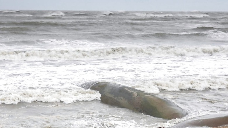 Cyclone Mocha Makes Landfall Near Bangladesh-Myanmar Border, 195-kmph Winds Create Havoc in Bay of Bengal