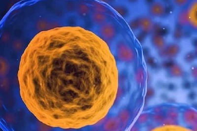 Scientists Suggest They Might Have Discovered The Key Element To The Origin Of Life