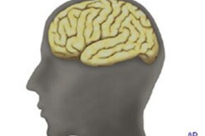 Our brain has a sixth sense for calories