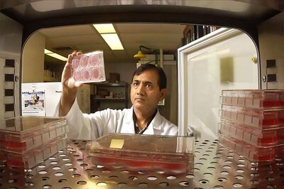 Indian origin professor awarded grant to research on rare bird flu vaccine