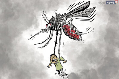 11-month-old Succumbs to Dengue in Tamil Nadu's Tiruvallur