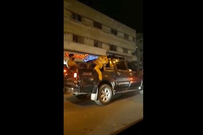 Pakistani Purr-petrator Charged With Taking Lion on Car Ride