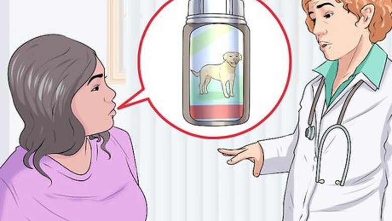 How to Treat Liver Disease in Older Dogs