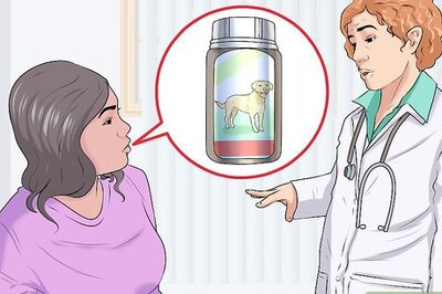 How to Treat Liver Disease in Older Dogs