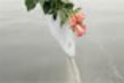 Woman sells hubby's former wife's ashes