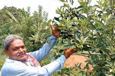 ​The ‘Apple’ of Bihar’s Eyes: CNN-News18’s Exclusive Report Yields Results, Gets Minister’s Attention