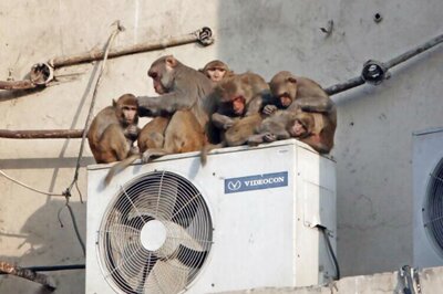 85-year old man kills wife, son over use of air conditioner