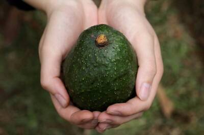Here are 5 Health Benefits of Avocados