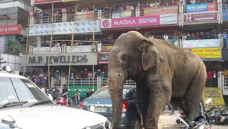 Wild elephant goes berserk in Siliguri, smashes cars and houses