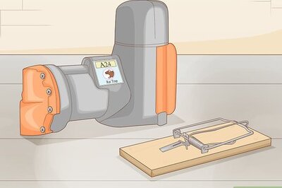 How to Remove Rodents from Apartment Buildings