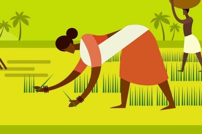 Budget 2022: Ken-Betwa River Linking Project Top Highlight, Targets Drought-prone Bundelkhand in Poll-bound UP