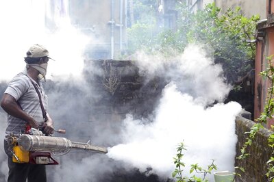 Delhi Reports 2 Fresh Dengue Cases in a Week, Tally Rises to 76
