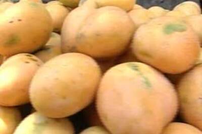 13-yr-old beaten to death for plucking mangoes