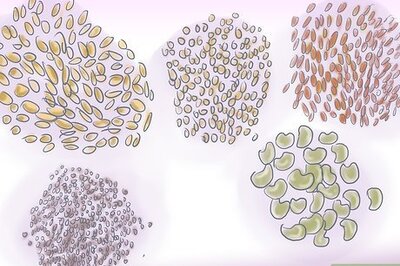 How to Start Vegetable Seeds Indoors