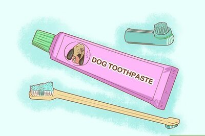 How to Soften Dog Tartar