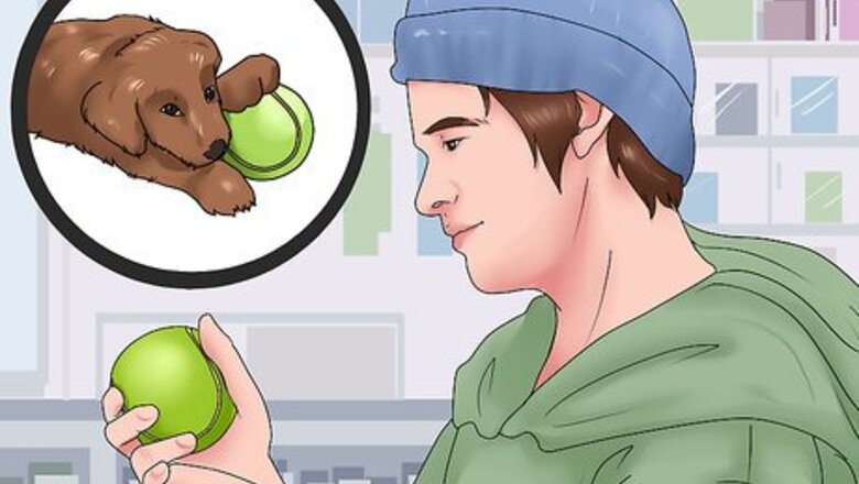 How to Give a Dog a Merry Christmas