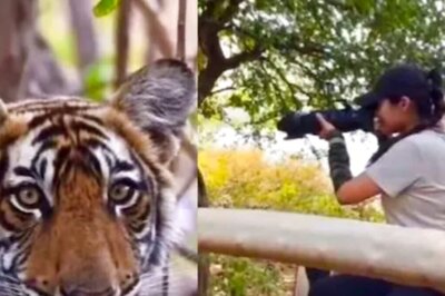 Silver Screen To Jungle Scenes, Sadha Sayed's New Wildlife Photography Passion