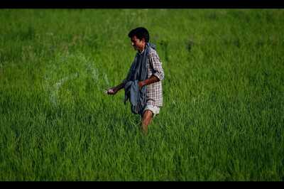 Exclusive | After Pharmaceuticals, Govt Set to Launch QR Codes on Fertilizer Packs to Fight Fake Products