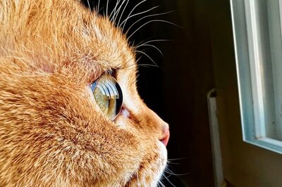 Apple Inviting iPhone 13 Pro/ Pro Max Users For A Macro Photography Challenge, Jury Includes 2 Indians