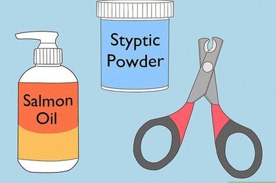 How to Trim a Ferret's Nails