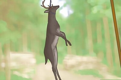 How to Dress a Deer